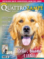 Quattrozampe